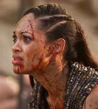 Spartacus-naevia