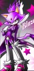 Blaze-the-cat-blaze-and-honey-rules-27563551-600-1081