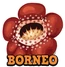 Borneo hud