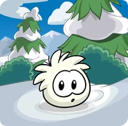 Puffle Party 2013 Transformation Puffle White