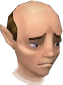 Gnome Waiter chathead