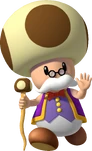 Toadsworth2