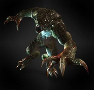 Hunter
