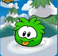 FlitPlayerCard