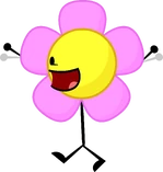 Flower 8