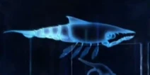 Fish Silverswimmer