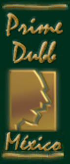 Prime Dubb México logo