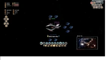 Cryptic Bos