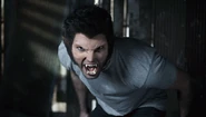 Derek Werewolf