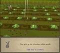 Easter20072.png