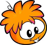 Orange Puffle29