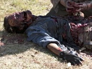 Guard 6 (This Sorrowful Life)