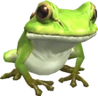 Toad 1 (FFXI)