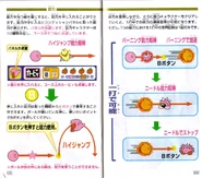 KDCourse-IB34