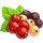 Ingredient-Curious Currant