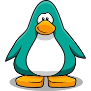 New Card Pose