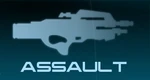 MEI Weapons Assault