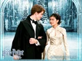 Cho and cedric.jpg