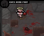 Birdfoot