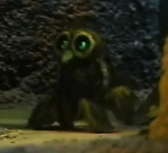 Owl Frackle