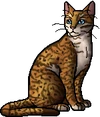 Honeyfern.warrior