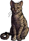 Leafstar.leader