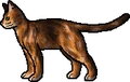 Redwillow.rogue.png