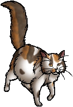 Sorreltail.queen