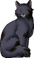 Stormfur.cg