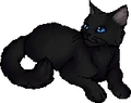 Cinderpelt.star