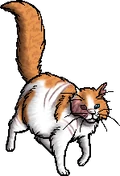 Brightheart.queen