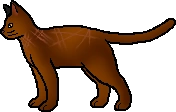 Antpelt.rogue