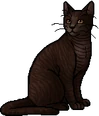 Dustpelt.warrior
