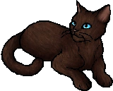 Mousefur.star
