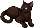 Mousefur.star