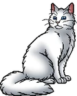 Cloudtail.warrior