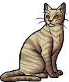Dawnpelt.warrior