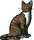 Leafpool.warrior