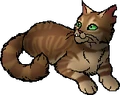 Crookedstar.star
