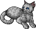Ashfur (TC).star.png