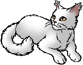 Whitestorm.star