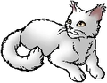 Whitestorm.star