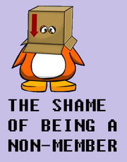 Shameofbeinganm