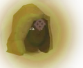 Zaros chathead.png