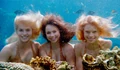 Mako Mermaids Underwater