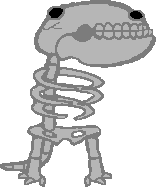 Salamander undead