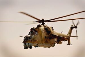 Hind D