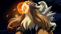 P13 Entei brillante