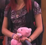 Cat's Pink Lamb