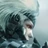 MGSRButton